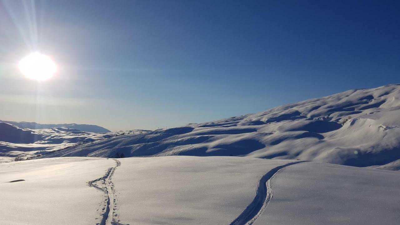Timblalodgen Sogndal Exteriér fotografie
